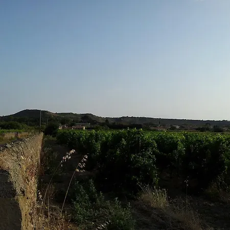 Bed & Breakfast Millot Conilhac-Corbières