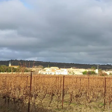 Millot Conilhac-Corbières